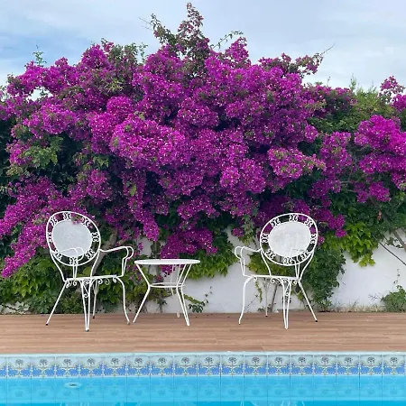 Llompart Port De Pollensa Villa *