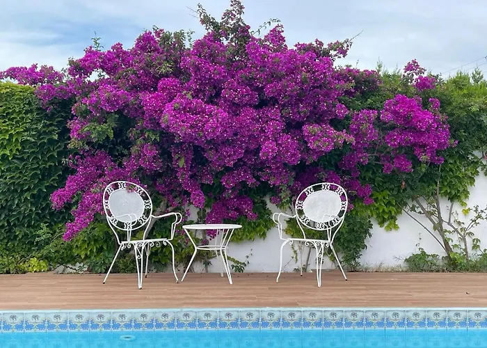 Llompart Port De Pollensa 别墅 *